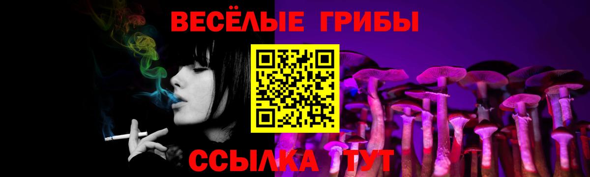 Галлюциногенные грибы мицелий Кызыл